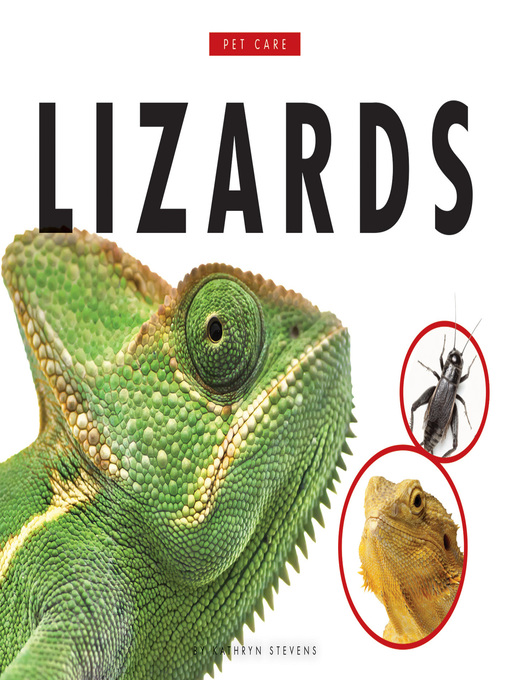 Title details for Lizards by Kathryn Stevens - Available
